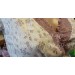 Хлопковая ночная рубашка для беременных и кормящих Alles Mama VIOLETTA 